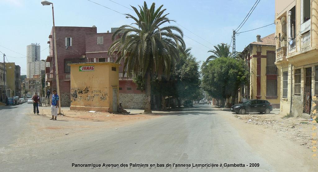 ORAN 2009 pano avenue des Palmiers Gambetta.jpg